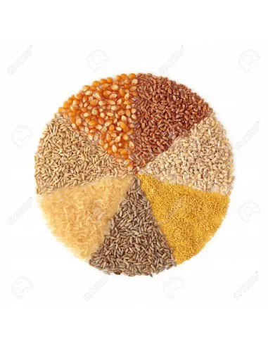 Grinder for herbs, spices, nuts, coffee