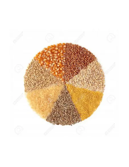 Grinder for herbs, spices, nuts, coffee
