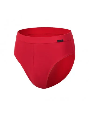 Red briefs