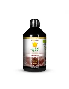 Joy Day Probiotic - Turmeric, Ginger, Pepper
