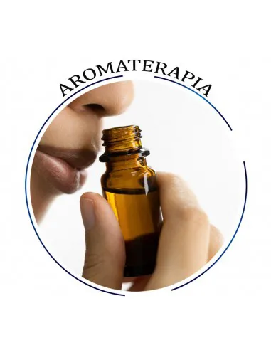 AROMATHERAPY seminar - recording