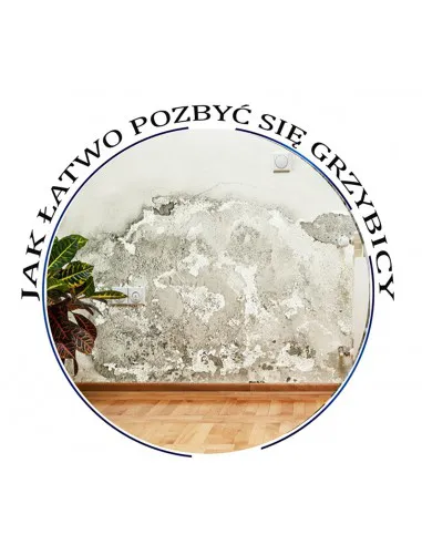 How to get rid of moisture, mold and fungus forever! - video