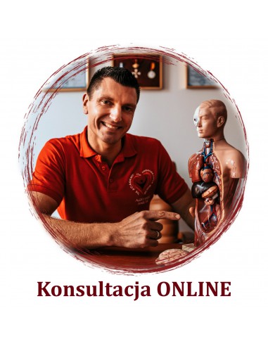 Online consultation Aleksander Haretski junior