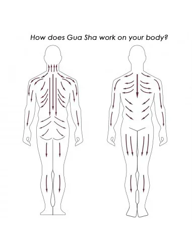 GUASHA Gua Sha stone massage